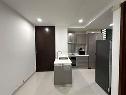 The Suites At Central (D9), Condominium #506667531